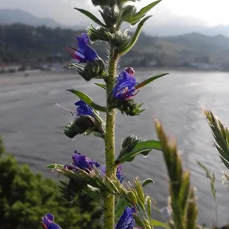 Brisas Del Sella Hotel 2*