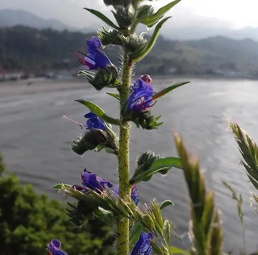 Brisas Del Sella Hotel 2*